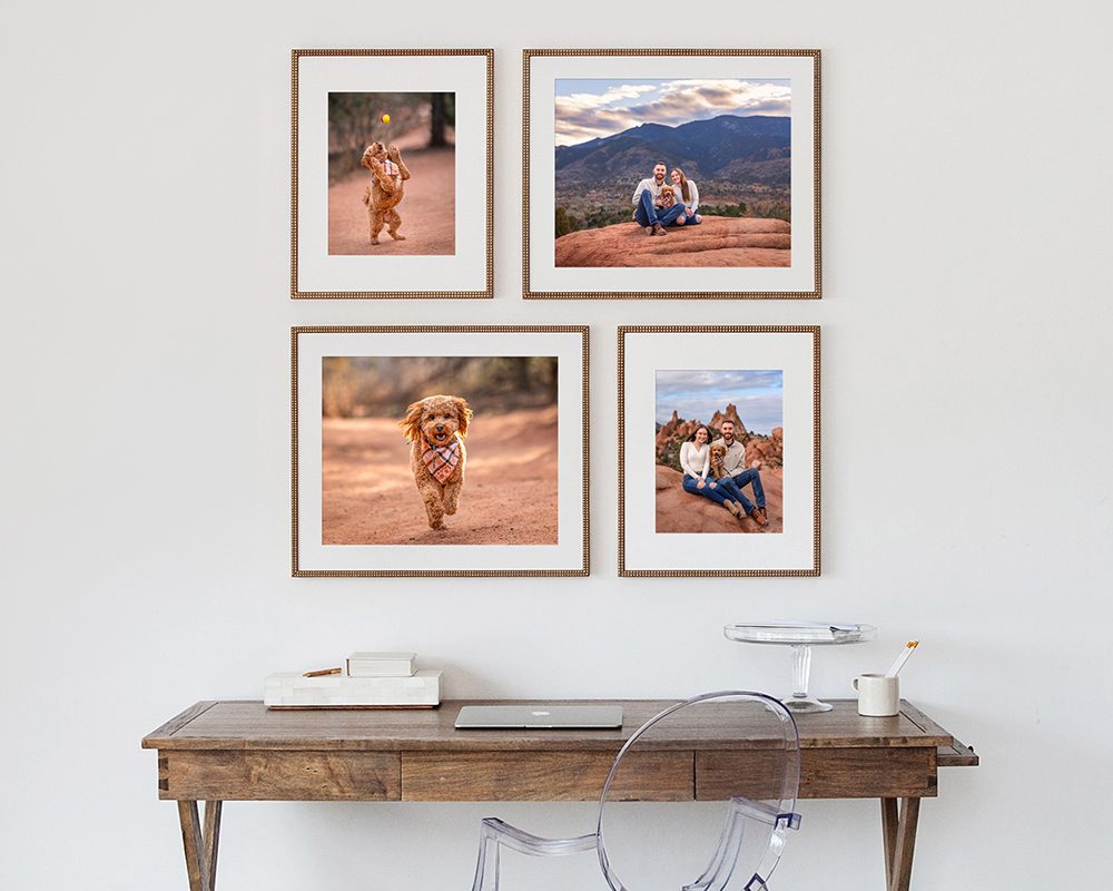 Counter Surfer wall portrait set with dog photography
