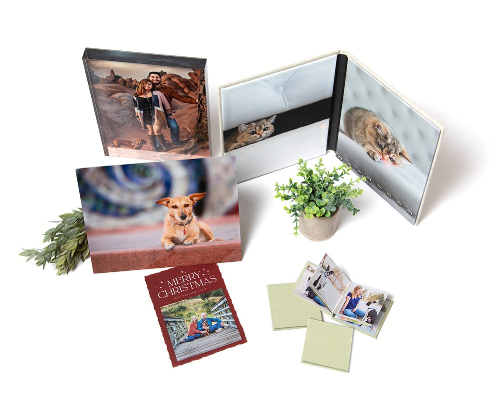 Pet photography products