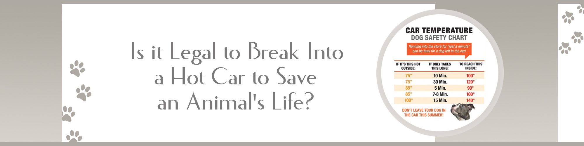 Hot car blog graphic