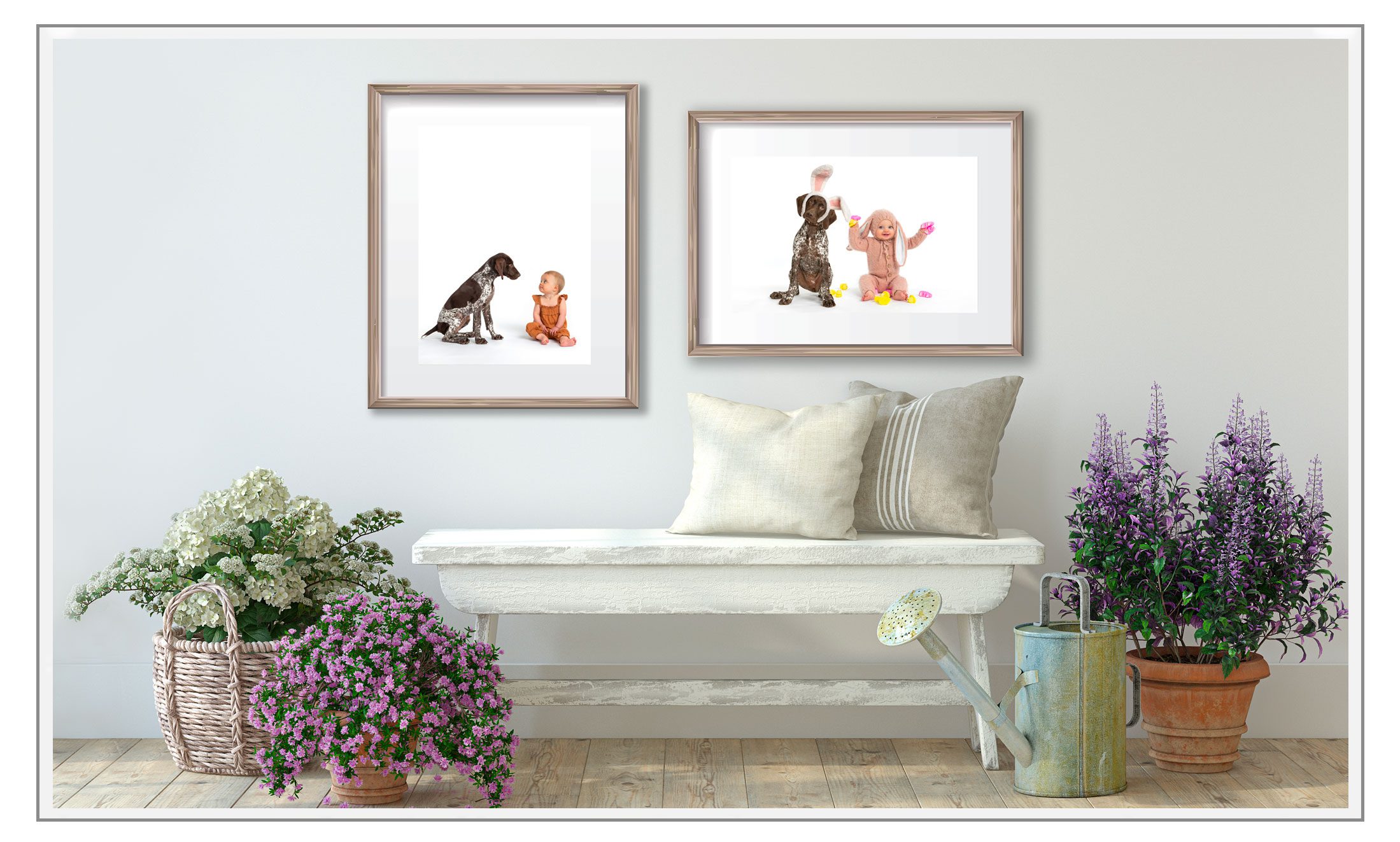 Studio photo of dog and baby