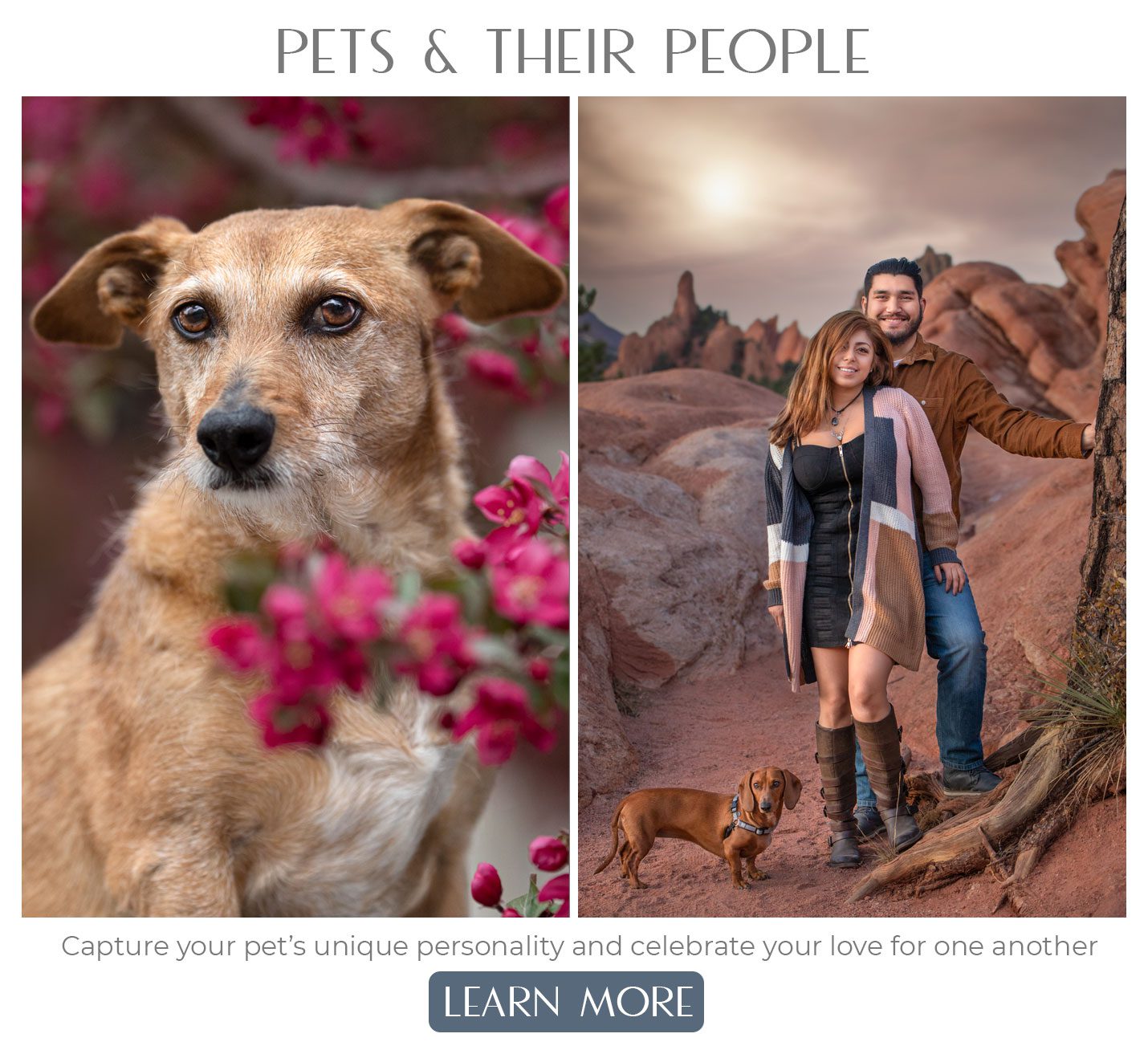 Colorado Springs pet photographer