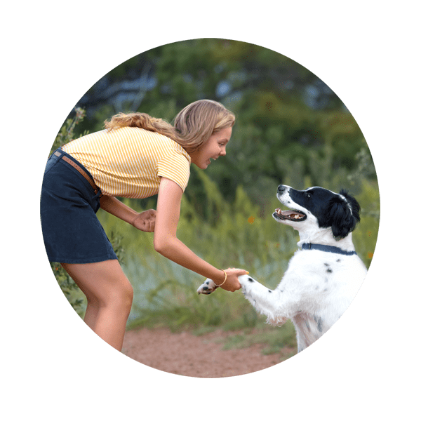 Girl shaking hands with her dog